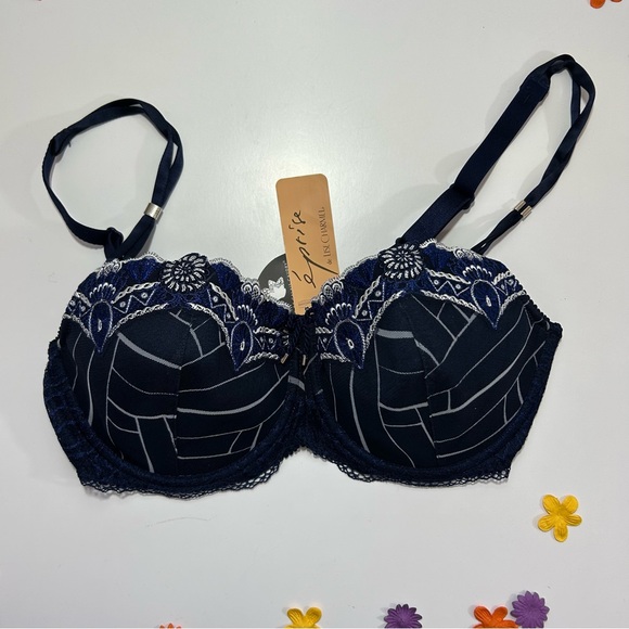 Lise Charmel Other - CCO Lise Charmel Blue Lightly Padded Blue Underwire Bra 34DD NWT